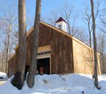 limington9.jpg