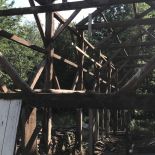 IMG_1173.jpeg
