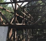 IMG_1173.jpeg