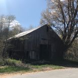 IMG_1028.jpeg
