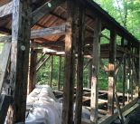 IMG_1106.jpeg