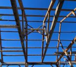 IMG_1550.jpeg