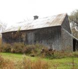 DSCN1273.jpg