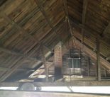 IMG_1010.jpg