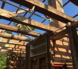 IMG_0359.jpeg