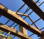 IMG_0364 (1).jpeg