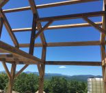 IMG_0502.jpeg
