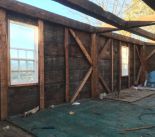 IMG_1768 (1).jpeg