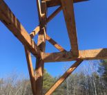 IMG_2202.jpeg